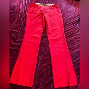 express columnist bootcut pants